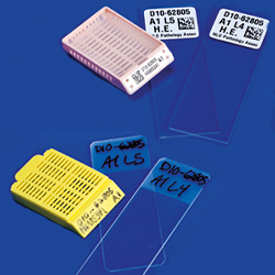 handwritten_vs_printed_250x250