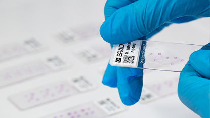 Eine Person verwendet das Etikett auf einem Chemie-Glastester.