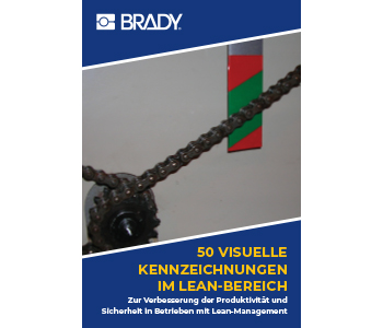 Brady50LeanVisualsCover_350x300